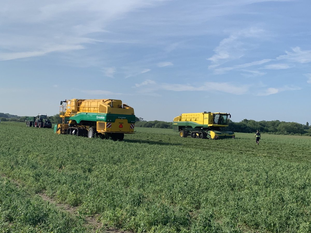 arablehayes's tweet photo. And they’re off.  Nice to be going, hoping for a successful season!🤞 https://t.co/GGRGkZFbQL