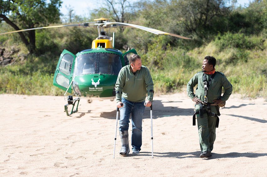 Dan Nicholl tweet media