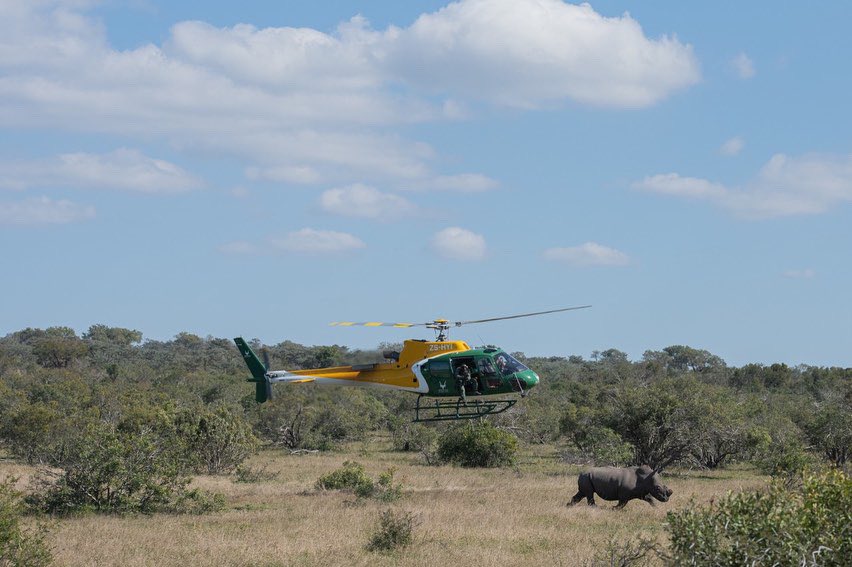 Dan Nicholl tweet media