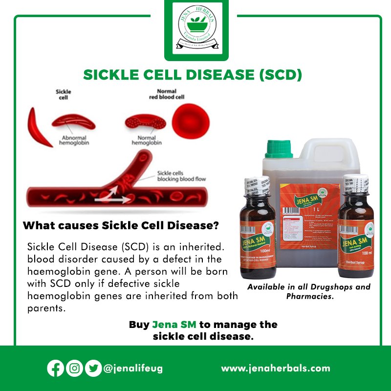 Manage Sickle Cell Disease with our Jena SM product purely made from herbal extracts. It is known to reduce hospitalizations to over 80% and improve the quality of life of SCD patients.

#jenalifeug #sicklecelldisease #treesforlife #treesforhealth