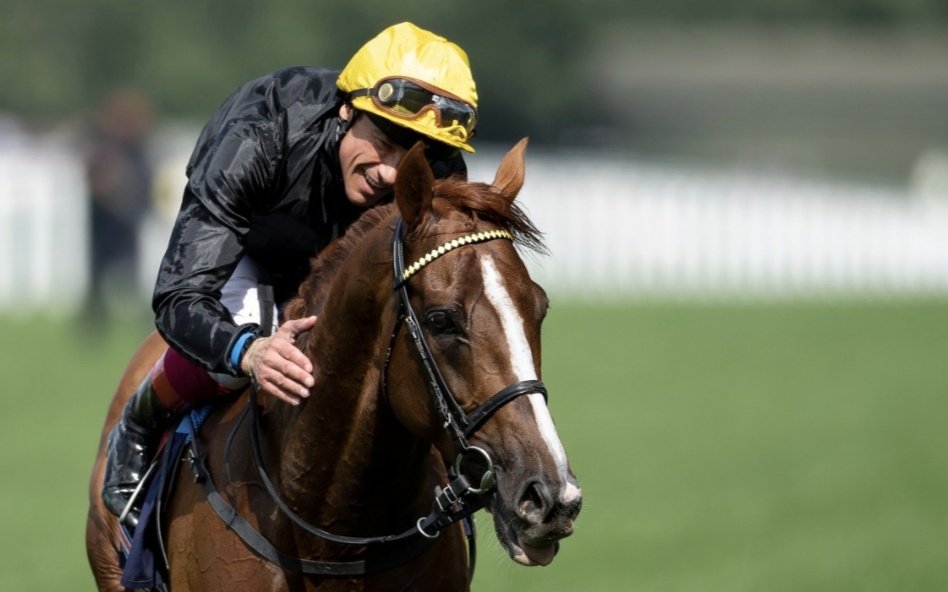 racingblogger's tweet photo. One last dance Stradivarius, go well you massive legend! 💫

#RoyalAscot #LiftHimFrankie 🙌 https://t.co/o3vXf1Aq4C