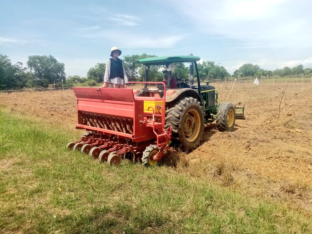 MathildeDionis1's tweet photo. Sowing time! Sowing of Phka rumduol rice variety in Biochar and Healthy Rice experiments in UBB Farm (Battambang, Cambodia) @MathildeSester @NuonThanon #Agroecology #Cambodia #HealthyRice https://t.co/XRCqDKh1jg