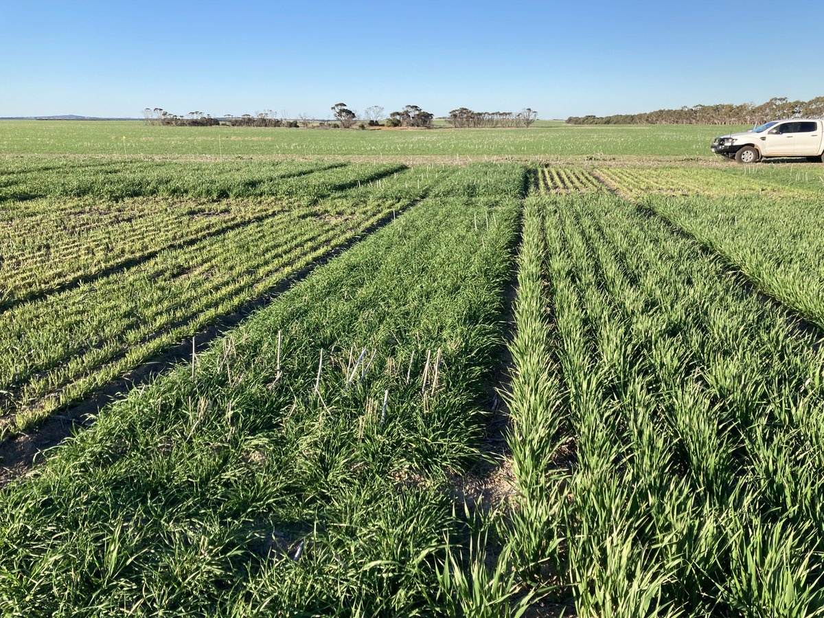 Kenton Porker tweet media