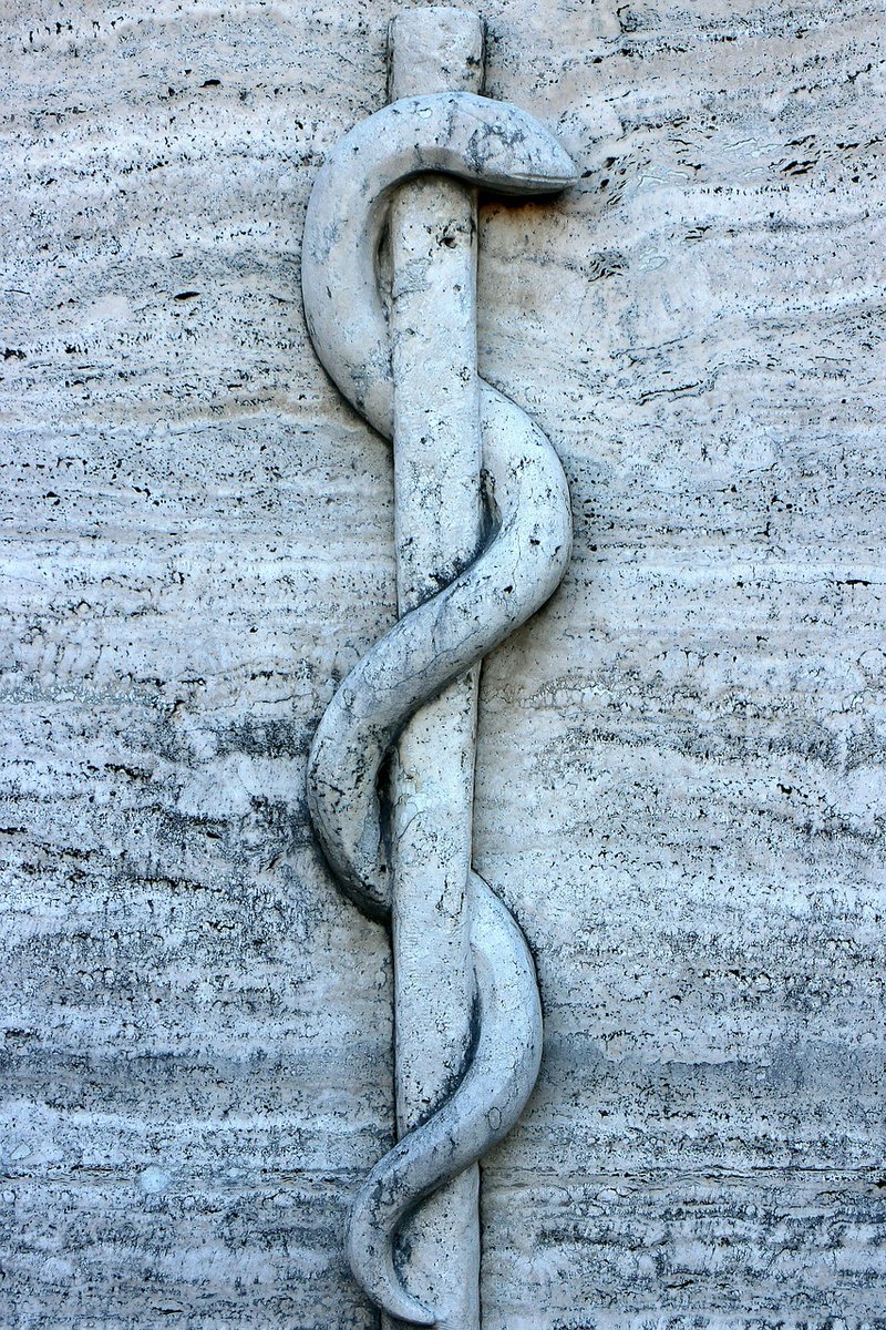 drdevrad's tweet photo. Which is the correct symbol for Medicine?

Rod of Asclepius or Staff of Hermes (Caduceus)?

Let's talk about the extremely common and embarrassingly incorrect symbol that is used in India (and the rest of the world) and why it frustrates me.
#MedTwitter https://t.co/lIwKQoEWLz