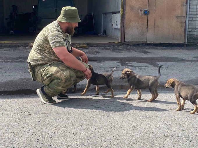 oosthuizen_izak's tweet photo. SHOWING SOME KINDNESS
Ukrainian soldier Borys and his new friends. Just awesome @UAarmy_animals
Fighting for freedom and #Ukraine #UkraineRussiaWar #RussiaUkraineWar #RussianArmy https://t.co/yF5LYz7OH1