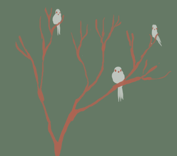 no humans simple background bird tree no lineart branch green background  illustration images