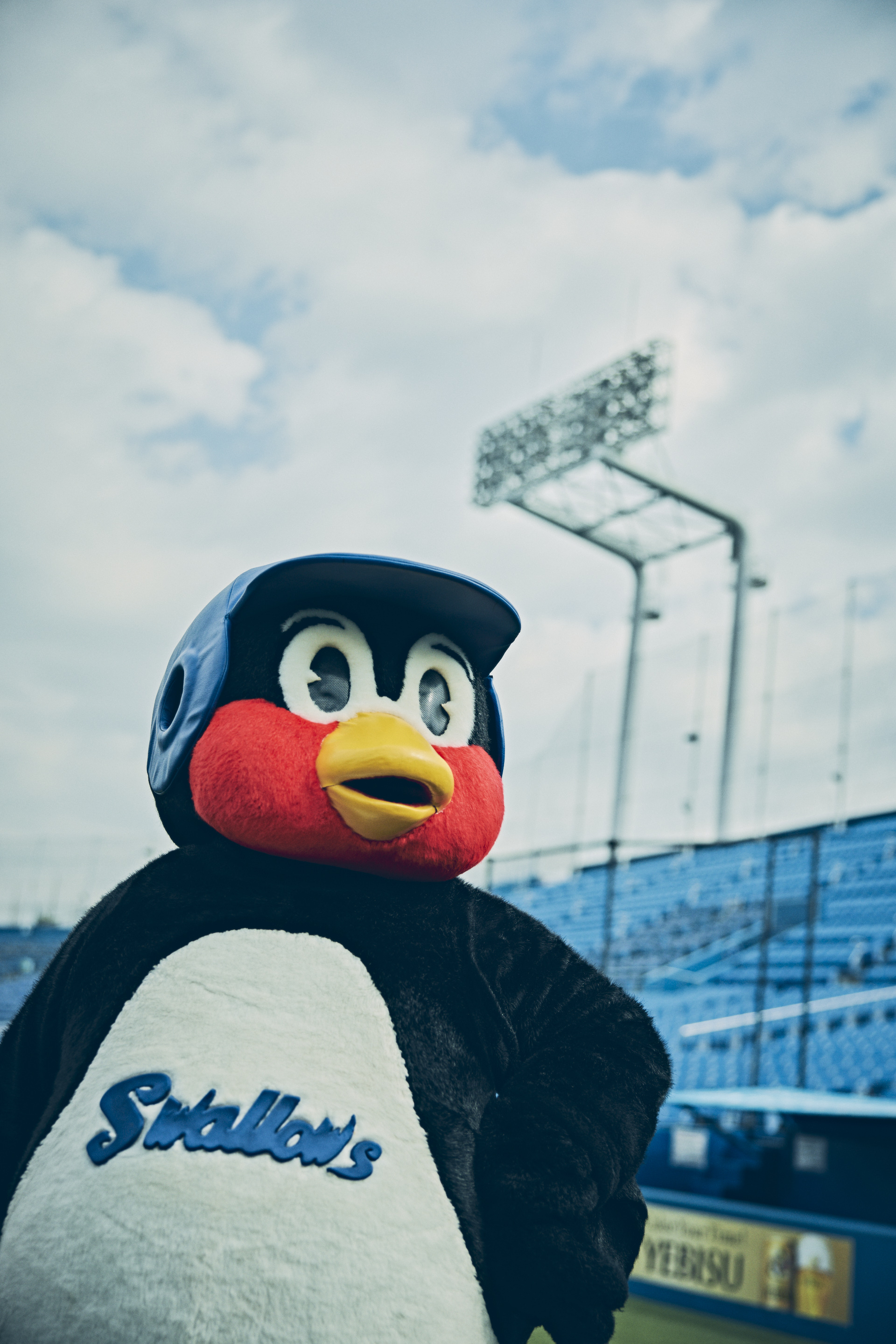 G*O様 「つば九郎の生態」　東京ヤクルトスワローズ G*O様 「つば九郎の生態」 東京ヤクルトスワローズ