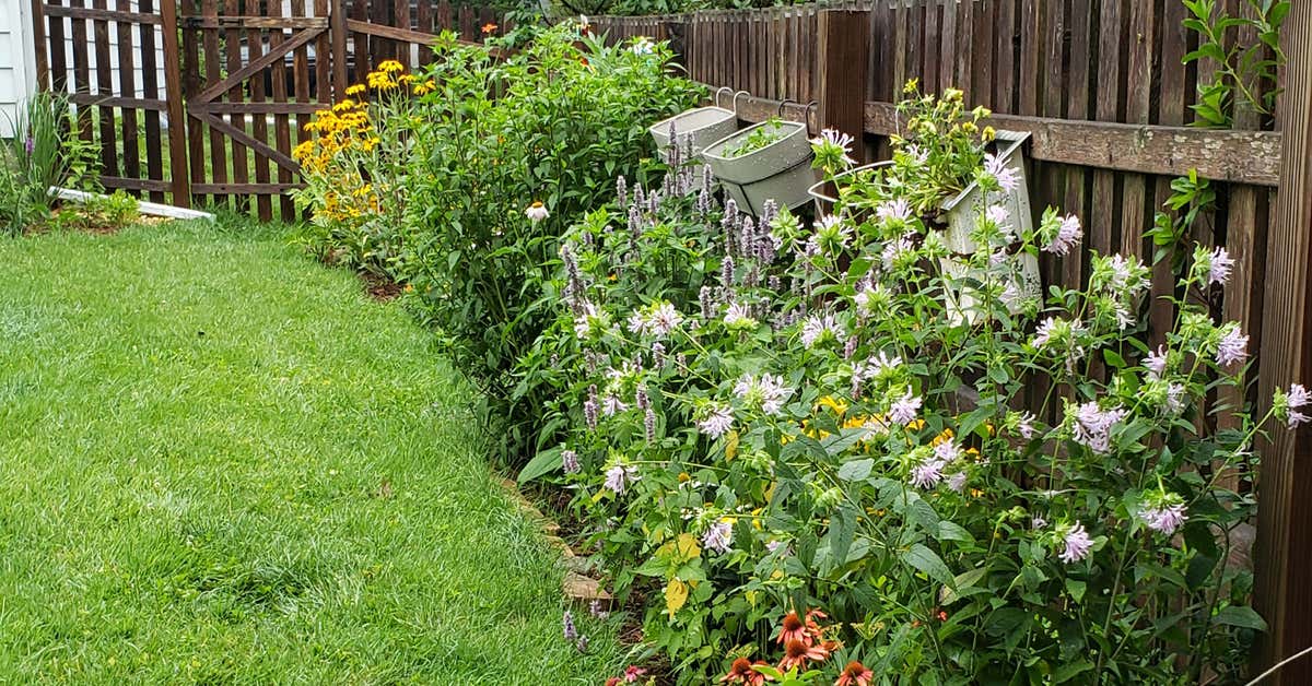 rossharris_iws's tweet photo. I love gardening. I hate weeding. Thankfully, I have a fix for my garden grief!!
https://t.co/5N5ro4sHGa
#waterhygiene #legionella #watersafety #trustedpartner #onestopshop #frustratedrockstar #sustainability #somethingalittledifferent https://t.co/Jgn67XtHSy
