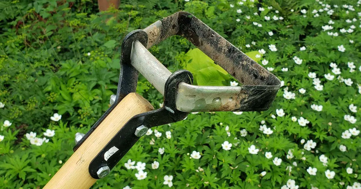 rossharris_iws's tweet photo. I love gardening. I hate weeding. Thankfully, I have a fix for my garden grief!!
https://t.co/5N5ro4sHGa
#waterhygiene #legionella #watersafety #trustedpartner #onestopshop #frustratedrockstar #sustainability #somethingalittledifferent https://t.co/Jgn67XtHSy
