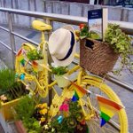 Photo by RITE: Ringsend & Irishtown TidyTowns & Environment (@IRingsend)