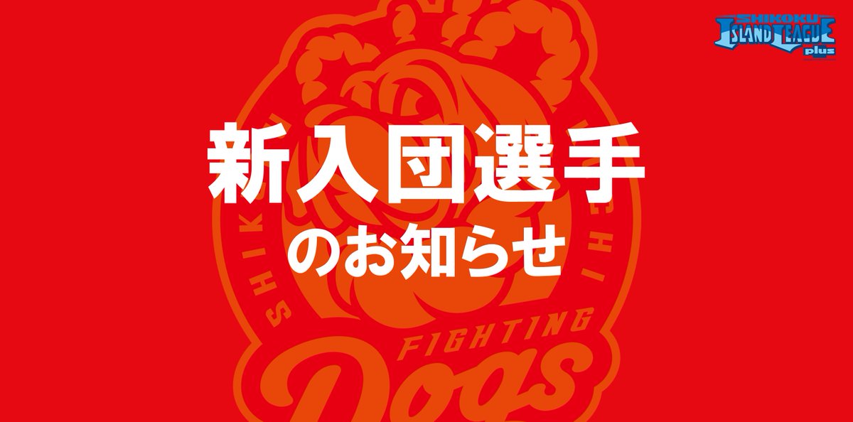 fightingdogs_dk's tweet photo. 【新入団選手のお知らせ📢】

島崎 太一 (しまざき　たいち)

31　捕手　2000年12月5日（21歳）
174cm/81kg　東京都出身　右投右打
都立府中西高校 - 山梨学院大学（途中退部、在学中）- 甲府府中クラブ

https://t.co/39jcK0700F https://t.co/Nn7DoXKTNL