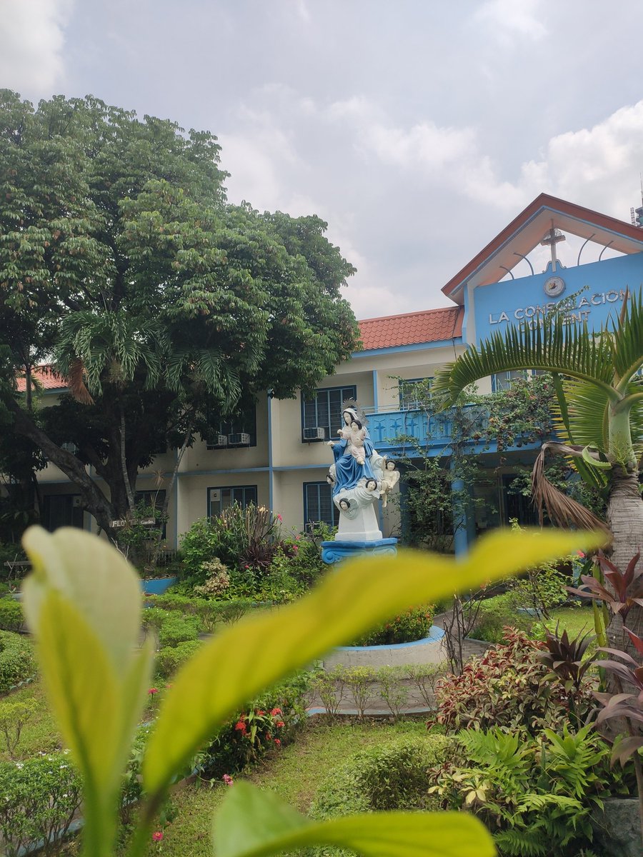 jhovf2022's tweet image. #asolc