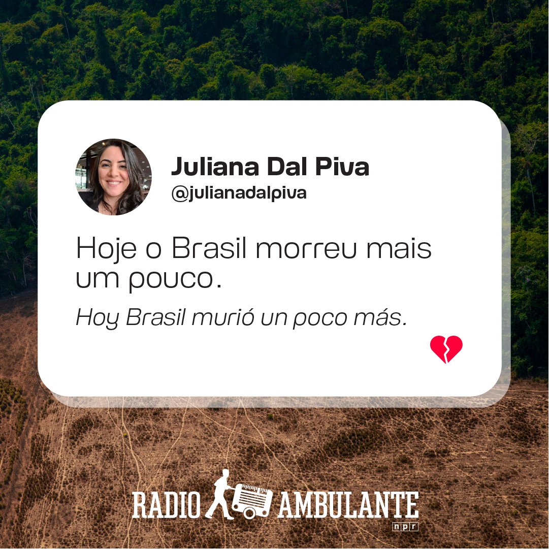 El periodista británico Dom Phillips y el indigenista brasileño Bruno Araújo Pereira desaparecieron en la Amazonía brasileña el 5 de junio. Este miércoles un hombre confesó haberles disparado y llevó a la Policía a un lugar donde se hallaron restos humanos (1/4)