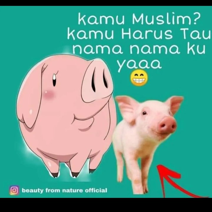 hamidah_nadya's tweet photo. Bismillah

Istilah babi ternyata tidak hanya ham atau pork saja. Ada banyak istilah yang biasanya digunakan dalam daftar komposisi makanan yang tercantum di kemasan. https://t.co/kj1am3158p