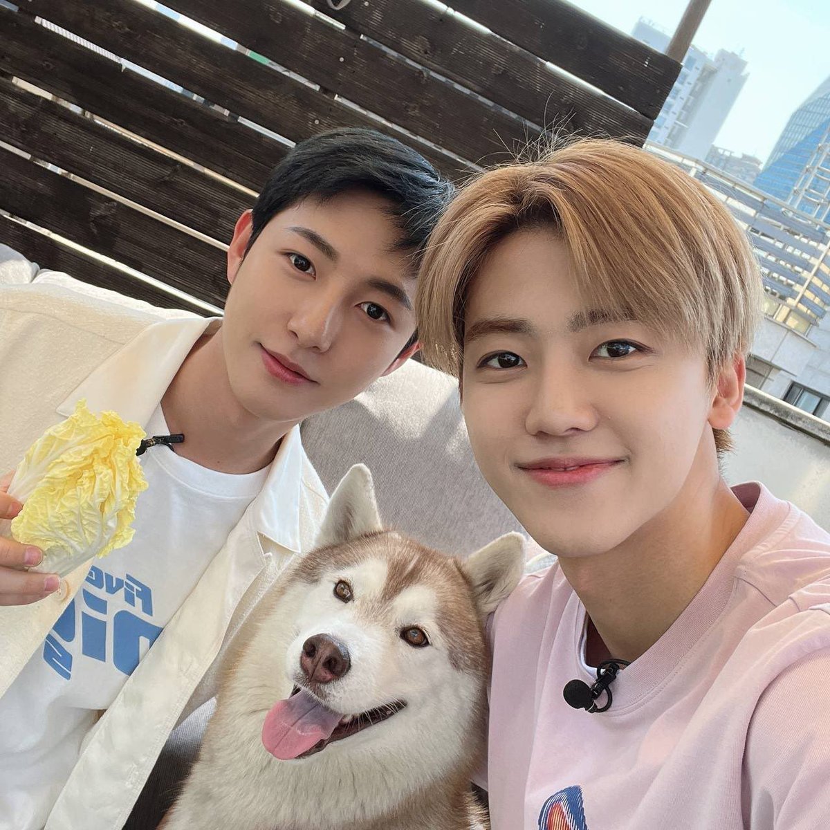 อันนี้รูปจริงนะ ไม่ได้ตัดต่อ ถ่ายจริงจากไอโฟนสิบสามโปรแม้กสีเซียร่าบลู เซลฟี่ แจมเหริน “ของจริง” อมก  ผ่านมาแล้วห้าสิบปี