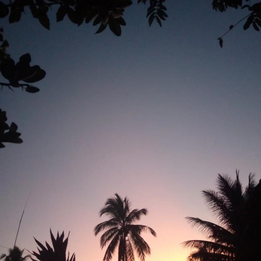 keende21's tweet photo. Sunrise https://t.co/KRrKfwRW5O