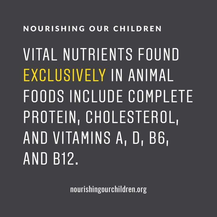 WestonAPrice's tweet photo. Tweet 1 of 2! A strictly plant based diet can lead to serious nutritional deficiencies. We can’t obtain sufficient true vitamin A from plant foods, nor can most of us produce adequate amounts of vitamin D from the sun alone. https://t.co/VdGbSfI7Fs