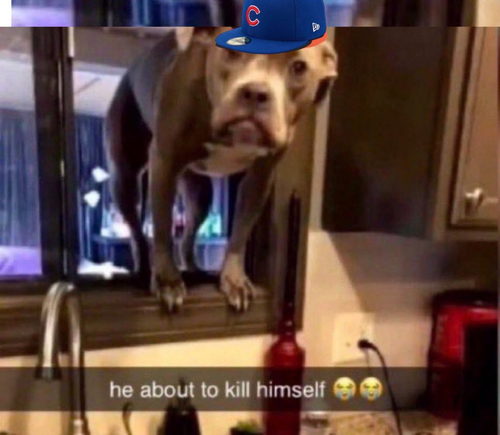 All my teams suck tweet media