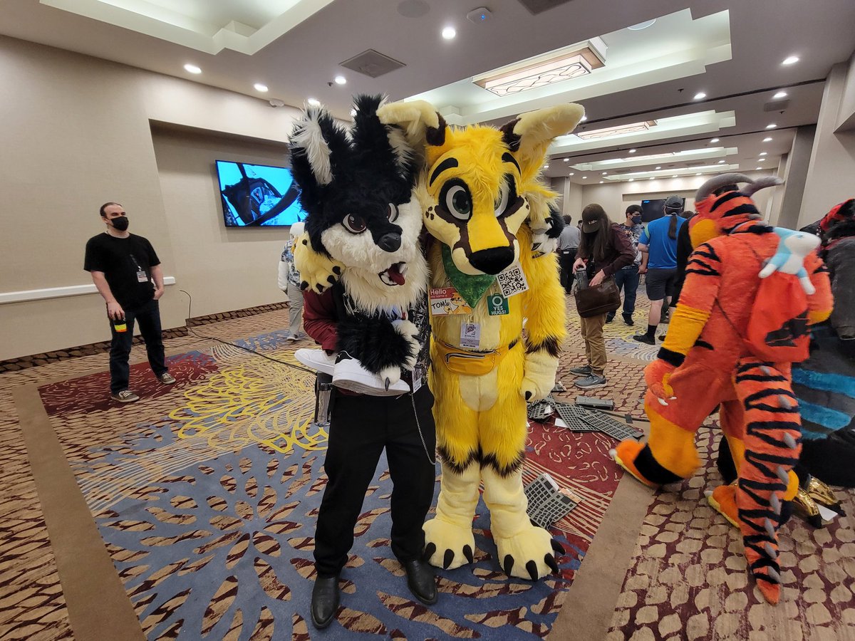 apex_furry's tweet photo. Well its been awhile but umm went to blfc had a lot of fun thanks for the fun times ^^ https://t.co/cKymjMtc7u