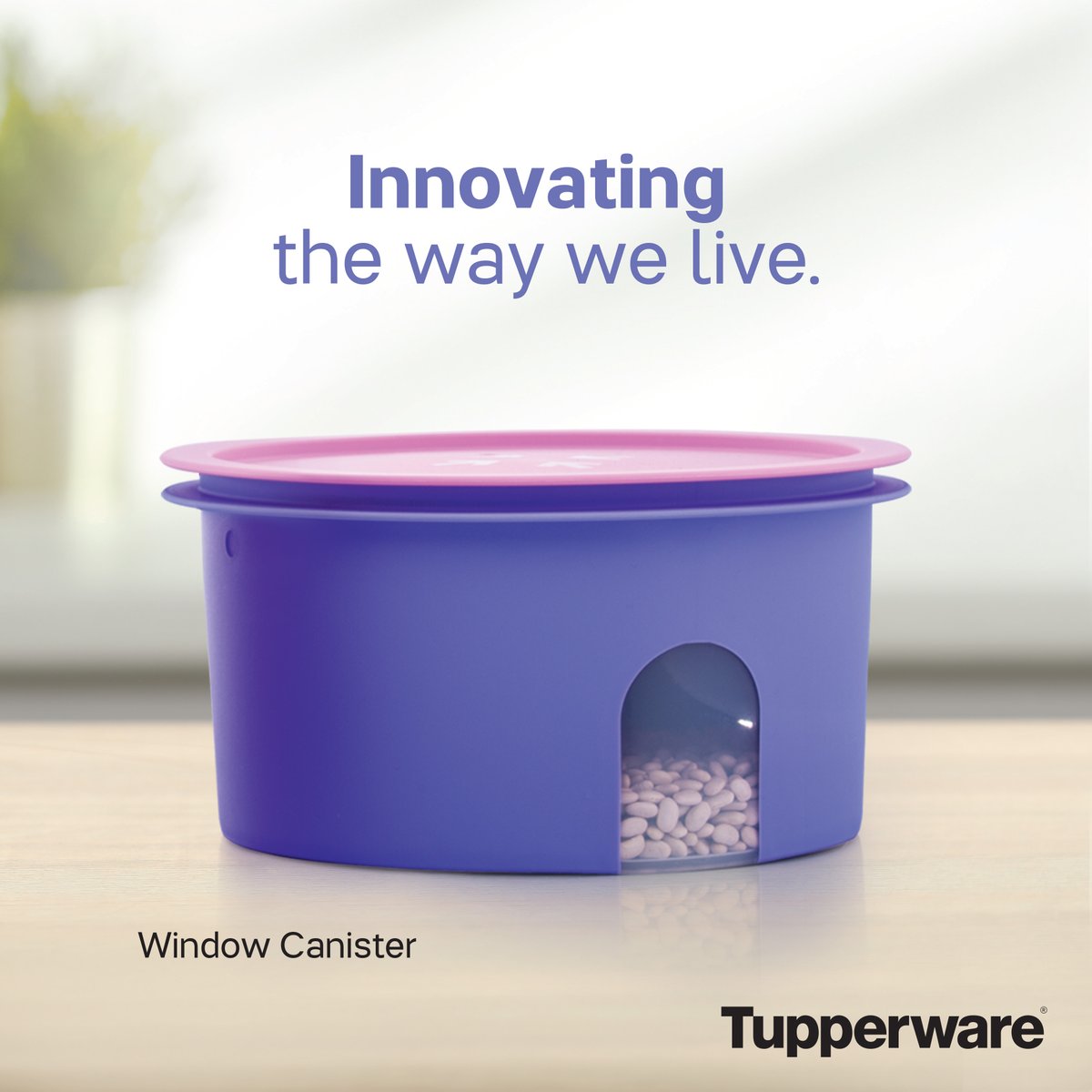 TupperBrandsph's tweet photo. We’re here to simplify your life! Our Window Canister 7L is on sale! Buy 1 at its regular price of 1,999 and get the next for only 299! 

Find the branch near you: https://t.co/jGiXw7ewQR

#FoodStorage #SmartSolutions #TupperwarePhilippines https://t.co/KHDlTstEvP
