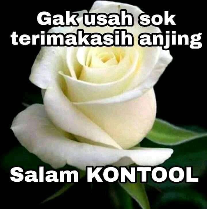 zevran (@cgrtxa) on Twitter photo 