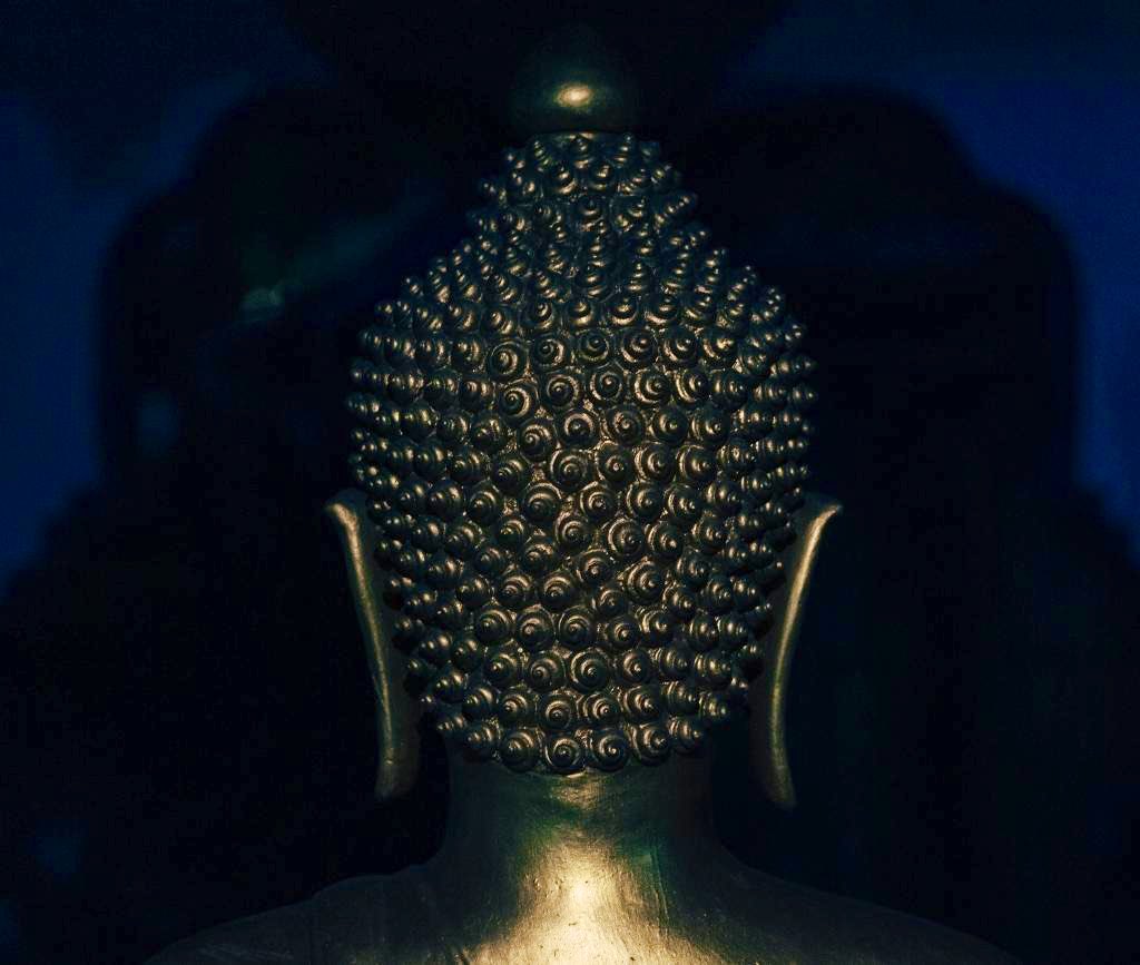globOMrev's tweet photo. Opposite of anxiety and fear is imagination and compassion….. https://t.co/fynZAxXRw3