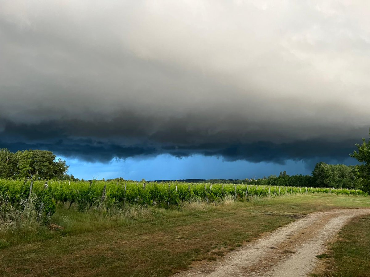lv_vitisphere's tweet photo. Environ 7 000 hectares endommagés par la grêle au début du mois. Le point à Bordeaux, dans le Gers, en Dordogne, dans le Roussillon, ou en Savoie.
https://t.co/DSjC6whzqc https://t.co/Vm39ts6oYY