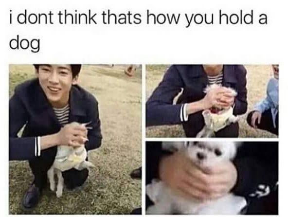 ImYurSuperman93's tweet photo. @thalassadwarf @jaybbam1a @BamBam1A He doesn't like dog too 🤣 https://t.co/qdb8BuHWdp