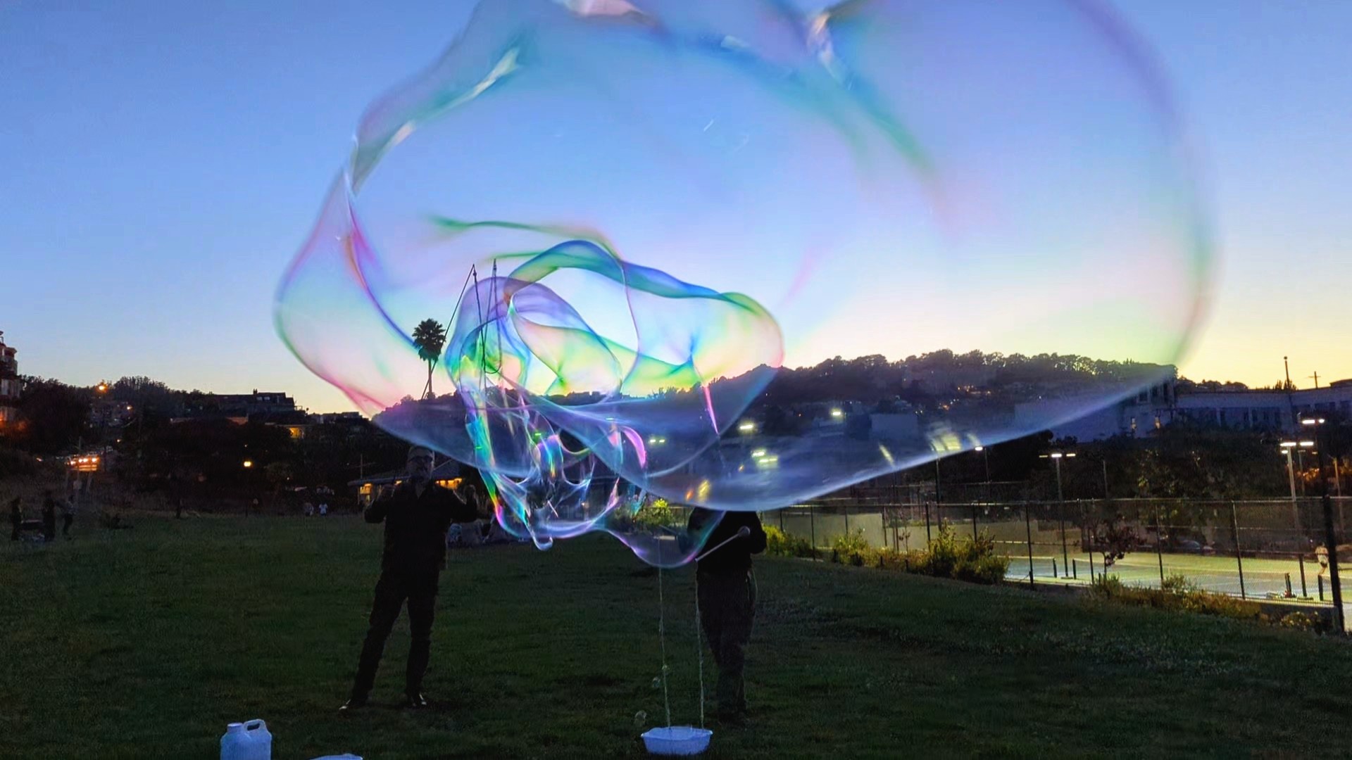 José Montaño on Twitter: "Bubbles at Dolores https://t.co/UUzK3nqCbN" /  Twitter