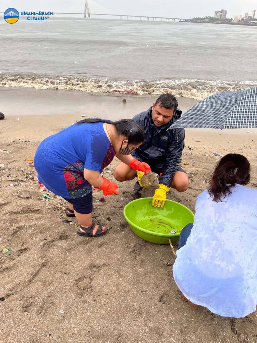 mahimbeach's tweet photo. Week 237: Our inclusive beach cleanup with Mann &amp; @wearekarmann will always be special for us. When we have the right intentions everybody's effort matters equally.
Celebrating #OneWorldOurWorld
Thanks @Colliers team for joining us.

#MahimBeachCleanUp @Indranilsm @RabiaTewari https://t.co/Xu72U1dFXj