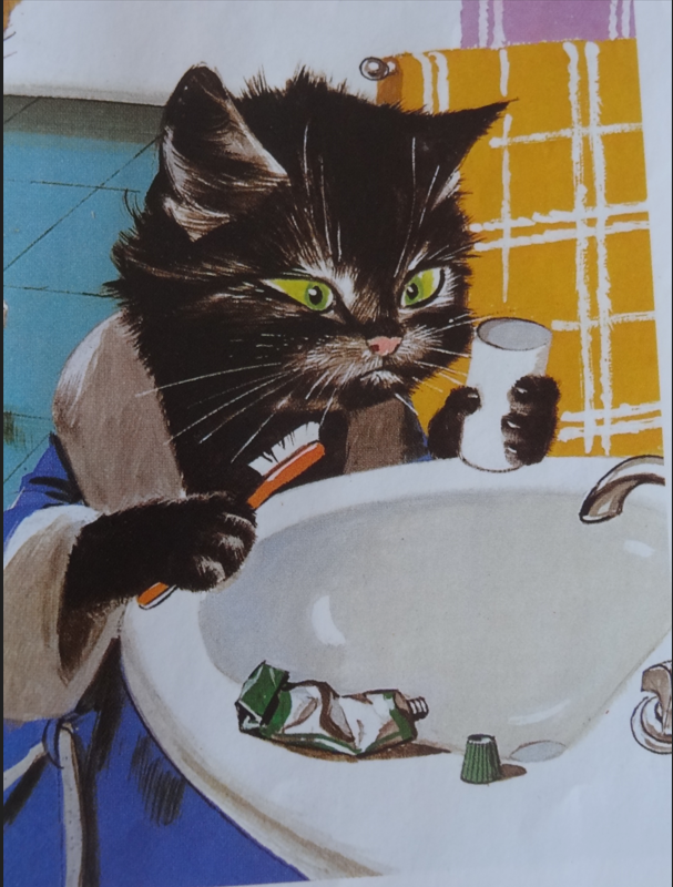 Cosmetexpert's tweet photo. Il ne faut jamais faire une toilette de chat... et bien penser à se laver les dents ! https://t.co/CFzUmJhwww https://t.co/siWj3LEdgB