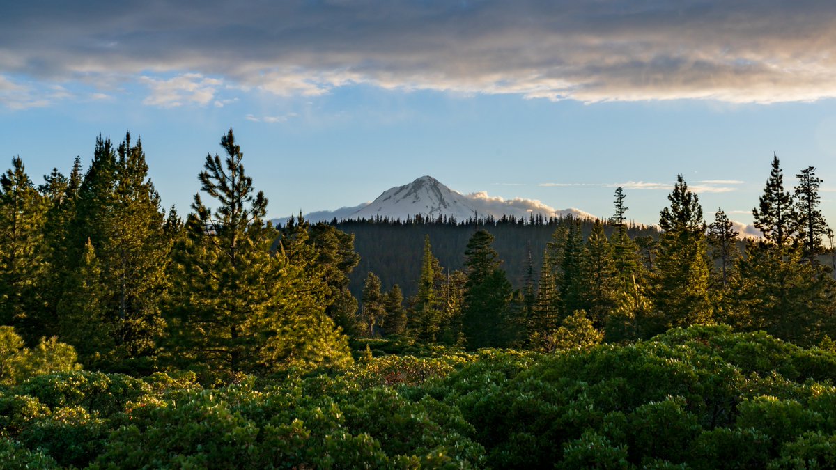 danielhuckmann's tweet photo. East of Mt. Hood

Dufur, Oregon

June 2021

ƒ/16 1/30 35mm ISO 100 https://t.co/kPl9cbnnFP