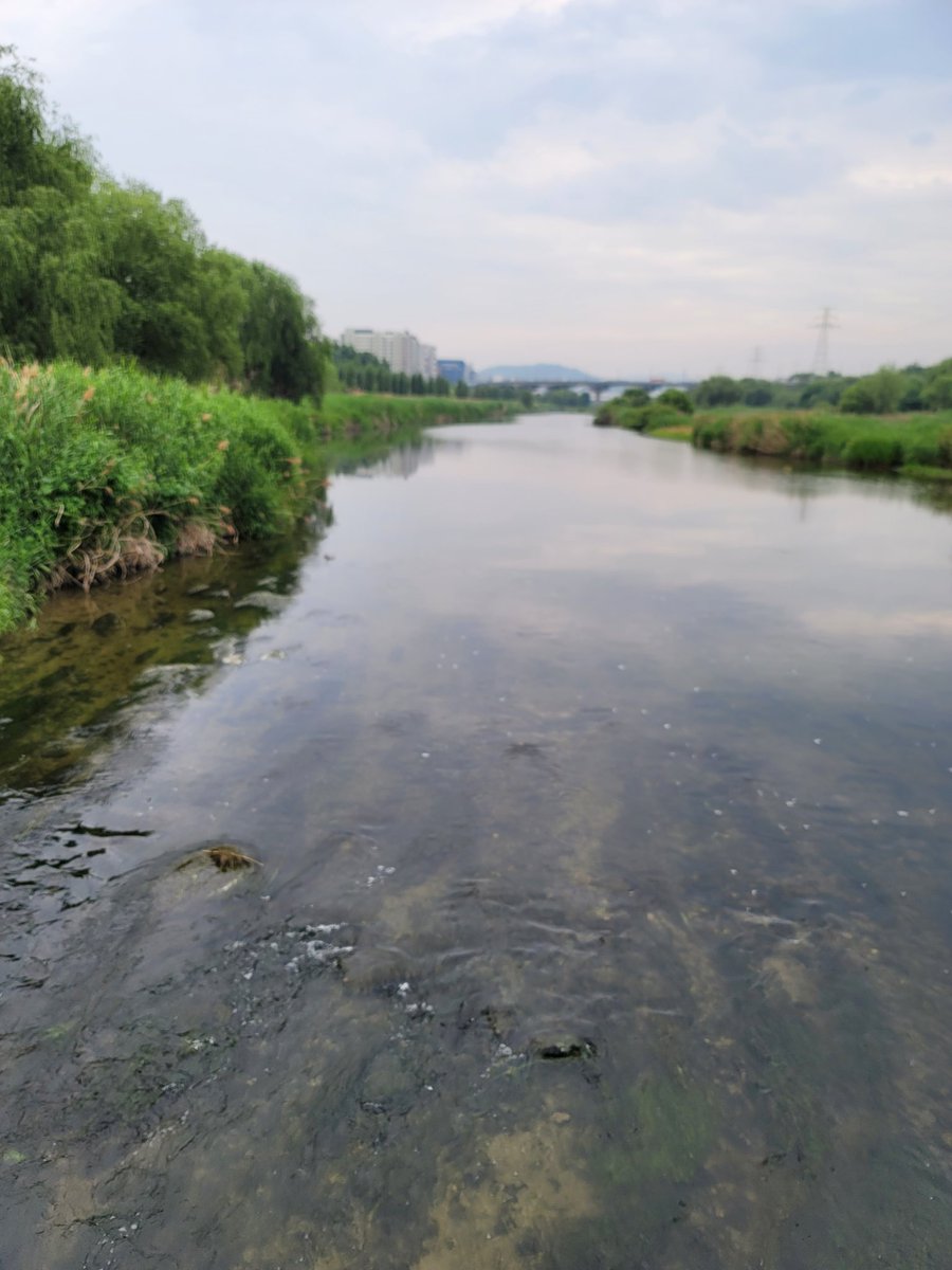 비가온뒤라 선선한 바람이 불어서 기분이 좋네요.하지만 그반댸로 욕불은 강해지네요. 일반적인것은 흥분이 안되는 변태새디끼~~
내새끼를 빨리찿아서  그애기랑 맘껏 고통과희열을느끼게해주고 구속과 복종을 통해 안정과 신뢰를 느끼는 40~50대 마조섭과 네토 커플섭환영해요
라인hye8960
