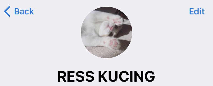 kuuwcing's tweet image. MAU BAGIIN RATUSAN NOKOS TELEGRAM / NOKTEL GRATIS TANPA SYARAT:)
Per orang dapet 2 noktel😻 #zonauang #zonaba 

-RT twt ini
-lgsg DM ke akun ini, nanti dikasi format
Ku usahain semuanya dapet🥹

Btw yg mau join gc ress juga bisa, noktel start 600p-1k aj🫶🏻