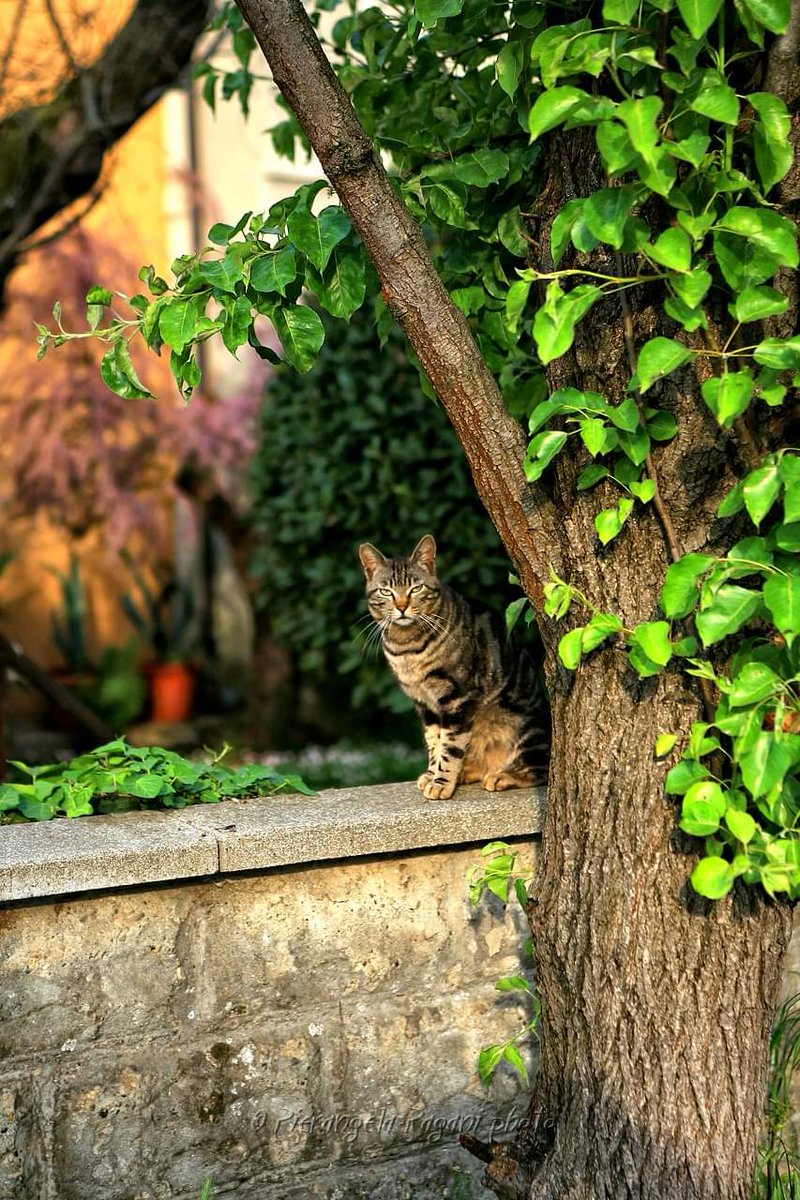 #perchéInFondo 
Si passa di qua,
per un saluto,
per un dono,
poche parole,
#percheinFondo 
io credo alle persone buone.
BUONGIORNO A TUTTI.