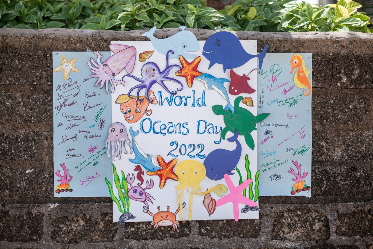 BiomeOcean's tweet photo. World Ocean Day!!!
Hikkaduwa National Park Public Awareness & Cleanup Event.
#WorldOceanDay #dreamspaceacademy #RuhunaUniversity #FoundationofGoodness #WildLifedepartment #Conservation #OceanBiome https://t.co/U9pKRWmQdS