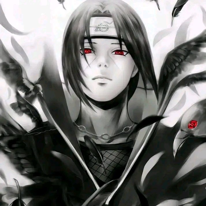 Chanceux_7777's tweet photo. #NouvellePhotoDeProfil https://t.co/LW6qNMFHnZ