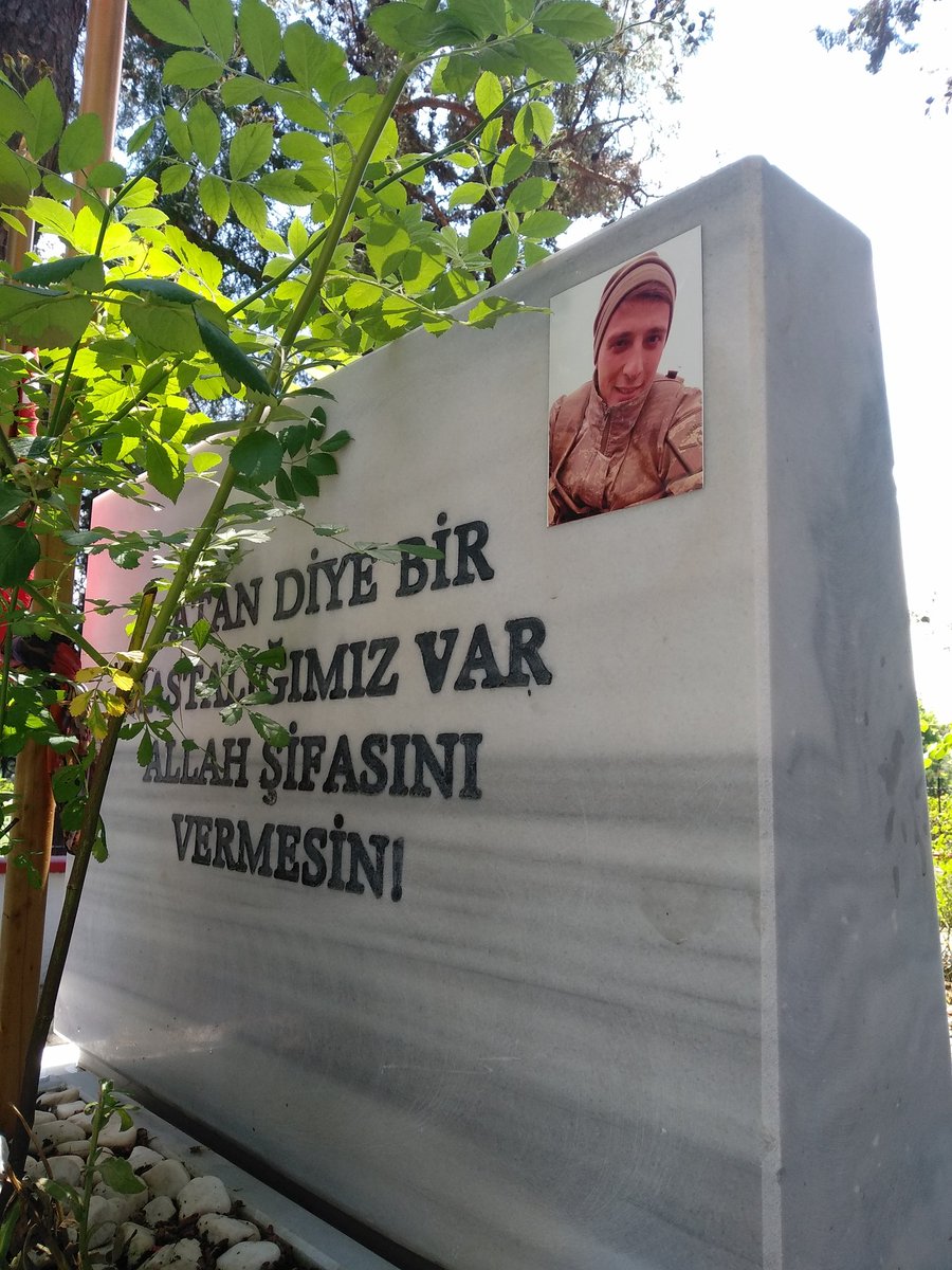 sehitbirhaner's tweet photo. Yürek sızımi🥀 https://t.co/6HFkTOBcMW