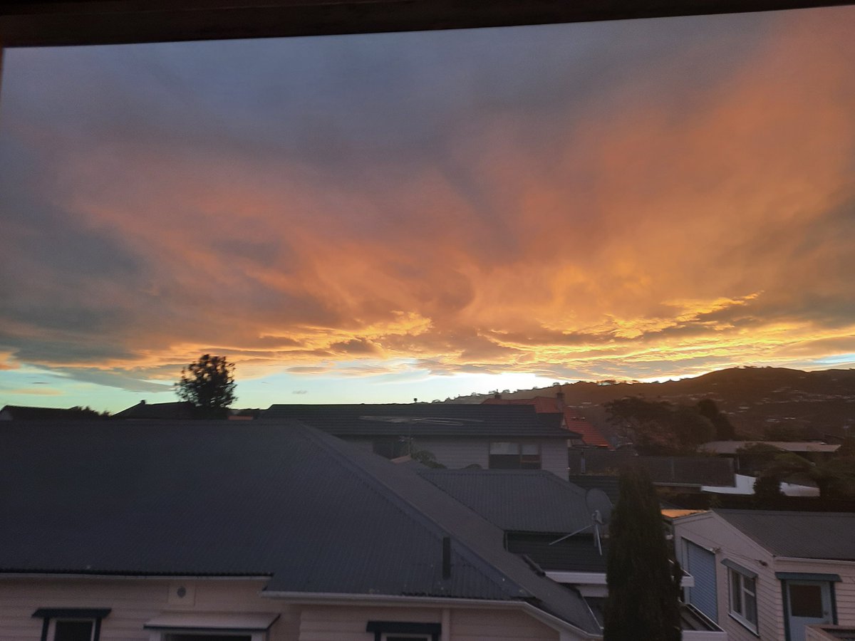 Bryan_Mulligan's tweet photo. Golden Hour, 16 June 2022 https://t.co/9ZiIK9ZR2C