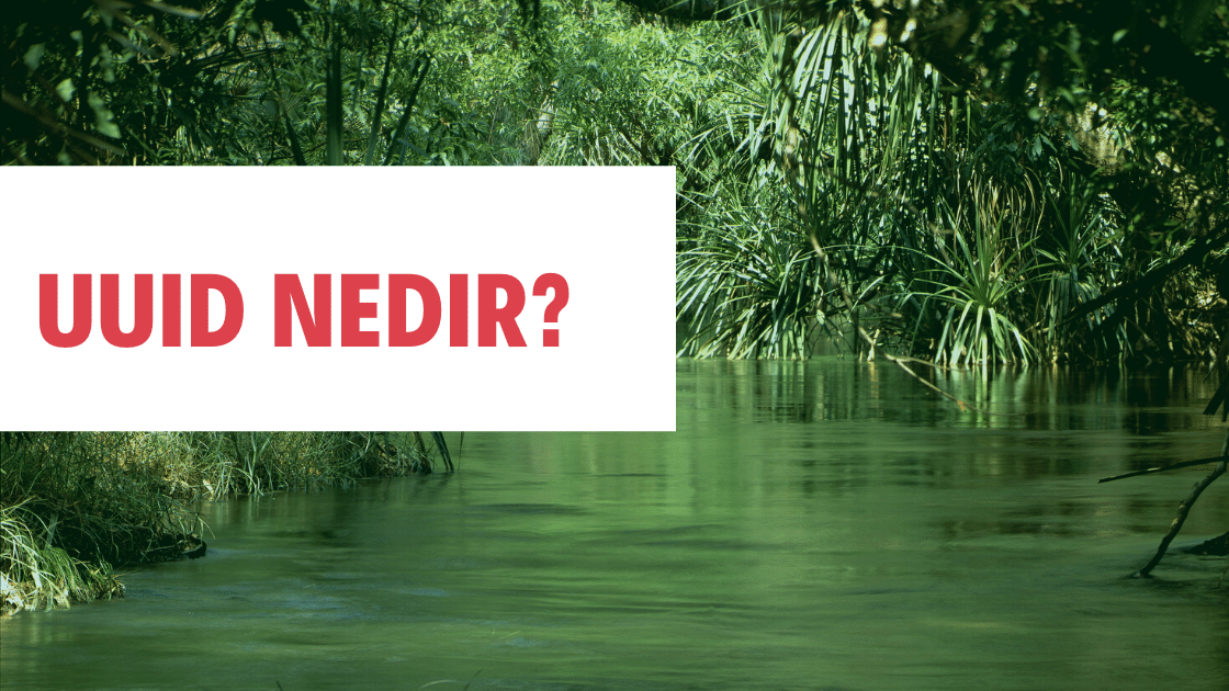 Sevgili Nurettin Abacı, UUID Nedir? isimli yazısını yayınladı.  
UUID (Universally Unique Identifier)16 byte uzunluğundadır, beş karakter grubundan oluşan 32
#sqlekibi   #guid #universallyuniqueidentifier #uuid #uuidnedir

sqlekibi.com/sql-server/uui…