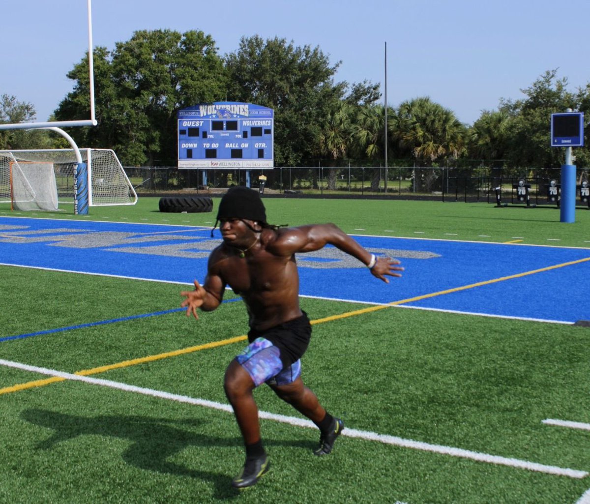 Denali Smith tweet media