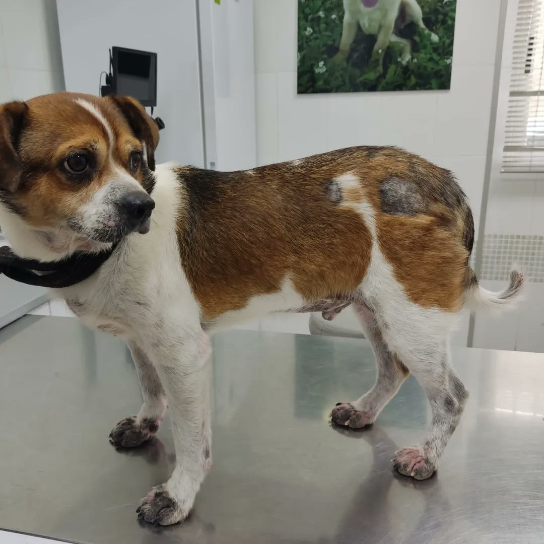 Anabel Timor tweet media