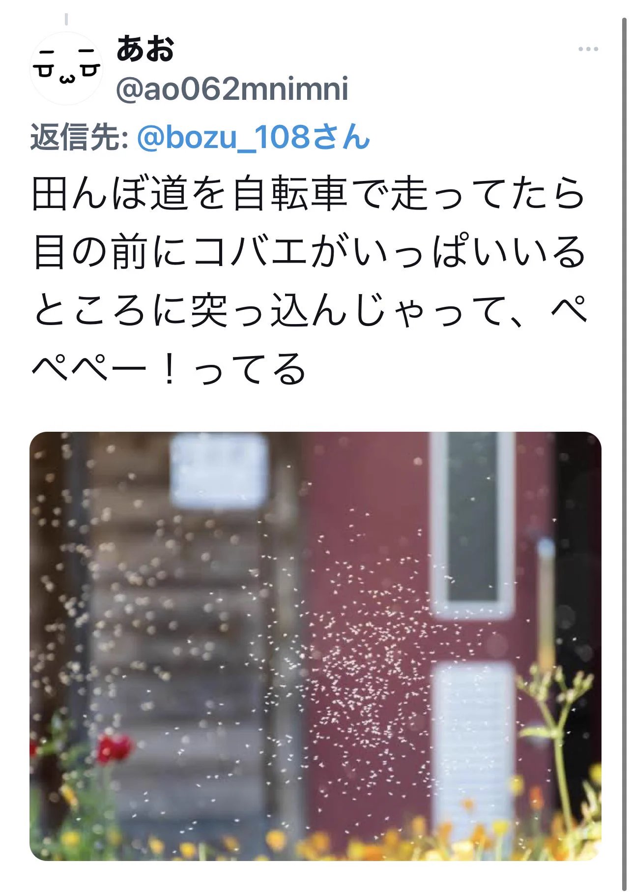 これがわかると田舎モノってバレるかも！田舎住みにしかわからないこと選手権