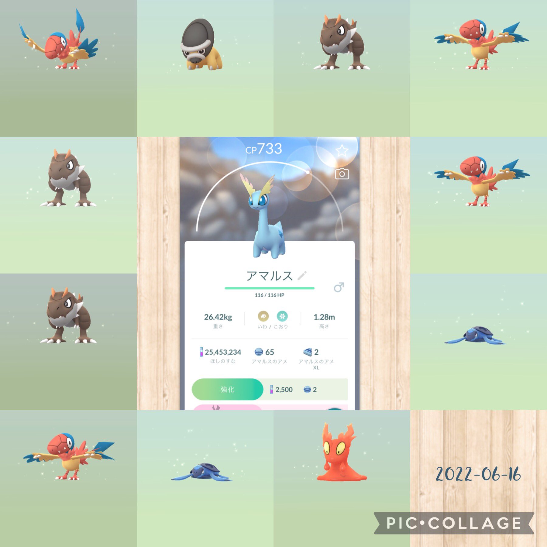 ねごん ポケモンgo Negon Official Twitter