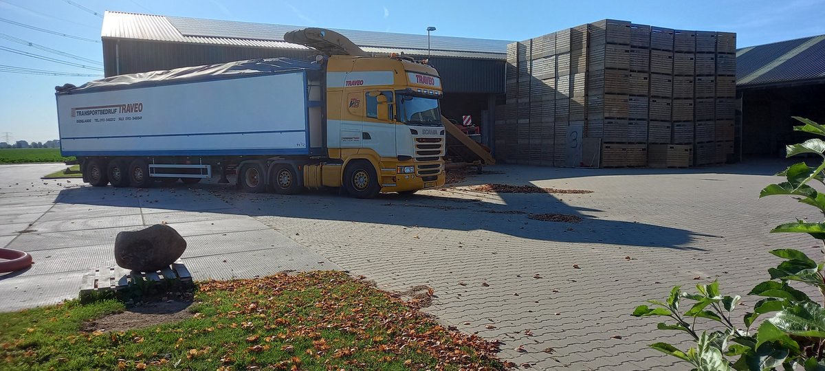 Novifarm's tweet photo. Dat waren de uien oogst21! https://t.co/LD4sAQbCUn