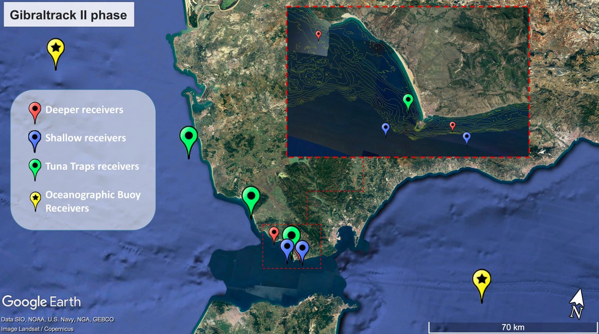 planettunaIEO's tweet photo. Con la llegada de la época de reproducción de atún rojo,  hemos instalado por segundo año consecutivo 9 sensores acústicos para detectar el paso de atunes por el Estrecho de Gibraltar

@AquaticTracking @IfapaJunta @IMEDEA_UIB_CSIC @opp_51 #investigatuna #gibratrack https://t.co/70tUZq0OA3