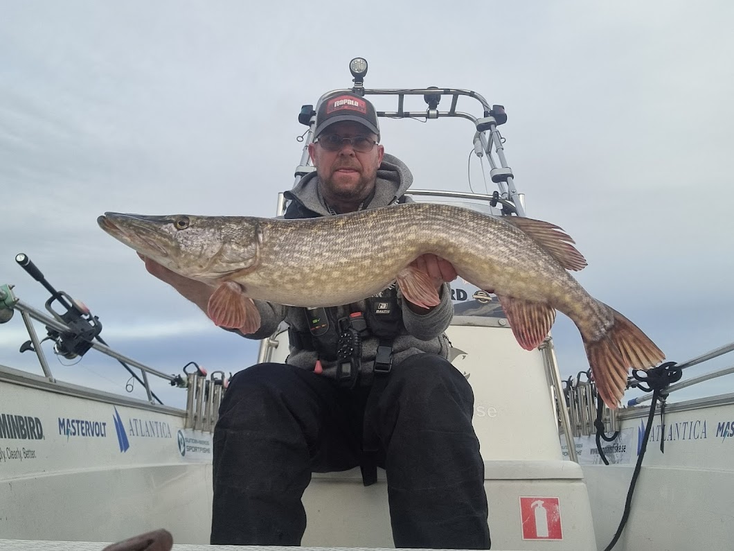 RapalaProguide's tweet image. Fin gädda på heta Rapala Haku (ny färg)! 
Nytt blogginlägg av Micke Puhakka

För ett tag sedan så körde jag en gäddguidning med några gäster, och efter fiskeguidningen så testade jag en helt ny färg från suveräna ...... Läs mer rapalaproguide.se/2022/06/fin-ga…