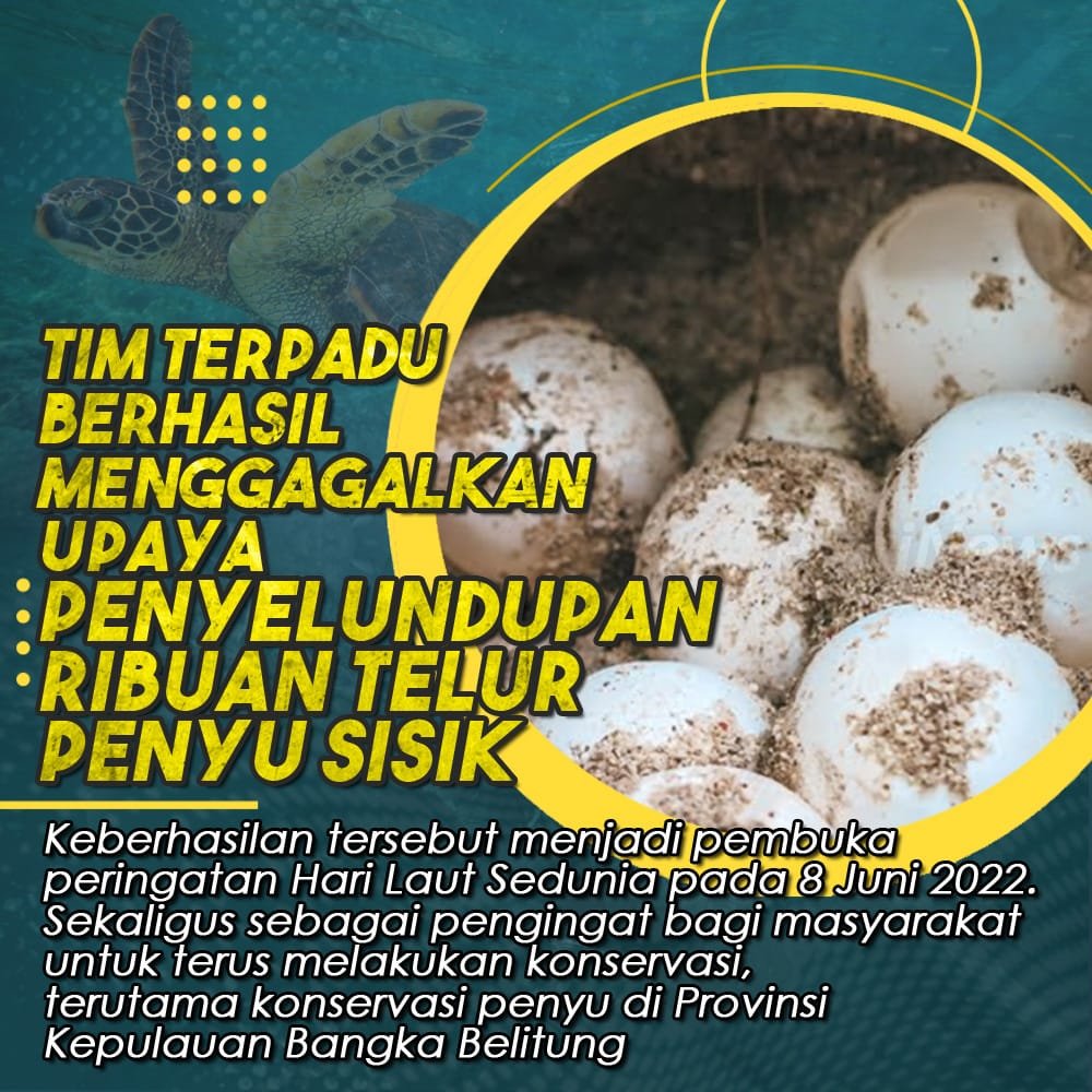 AlexKhaeru's tweet photo. Pelaku  berinisial  Y  yang ditangkap  kemudian ditetapkan  sebagai  tersangka dan langsung diamankan di Markas Komando (Mako) Ditpolairud Babel. #ProfesionalWujudkanKeamanan Semarak HUT Bhayangkara https://t.co/bIS76AKuG9