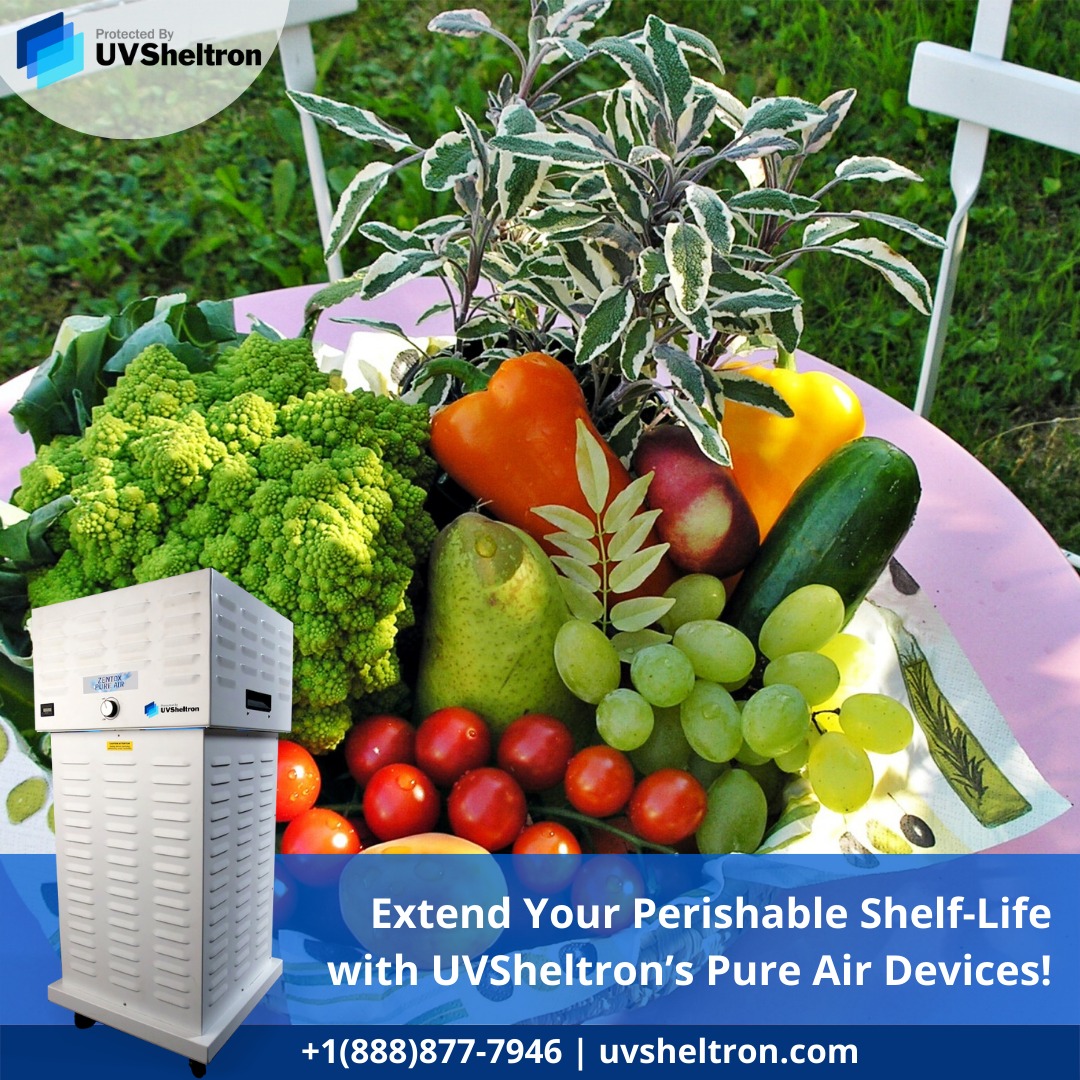 sheltroninc's tweet photo. The Pure Air500 works by drawing air into the device and killing contaminants with ultraviolet oxidation. 
Shop Now: https://t.co/GqEQhI88Qu

#freshproduce #uvdisinfection #fruitsandvegetables #shelflife #pureair500 #oxidation #agriculture #cannabis #ultraviolet #disinfection https://t.co/K5oLaShzy9