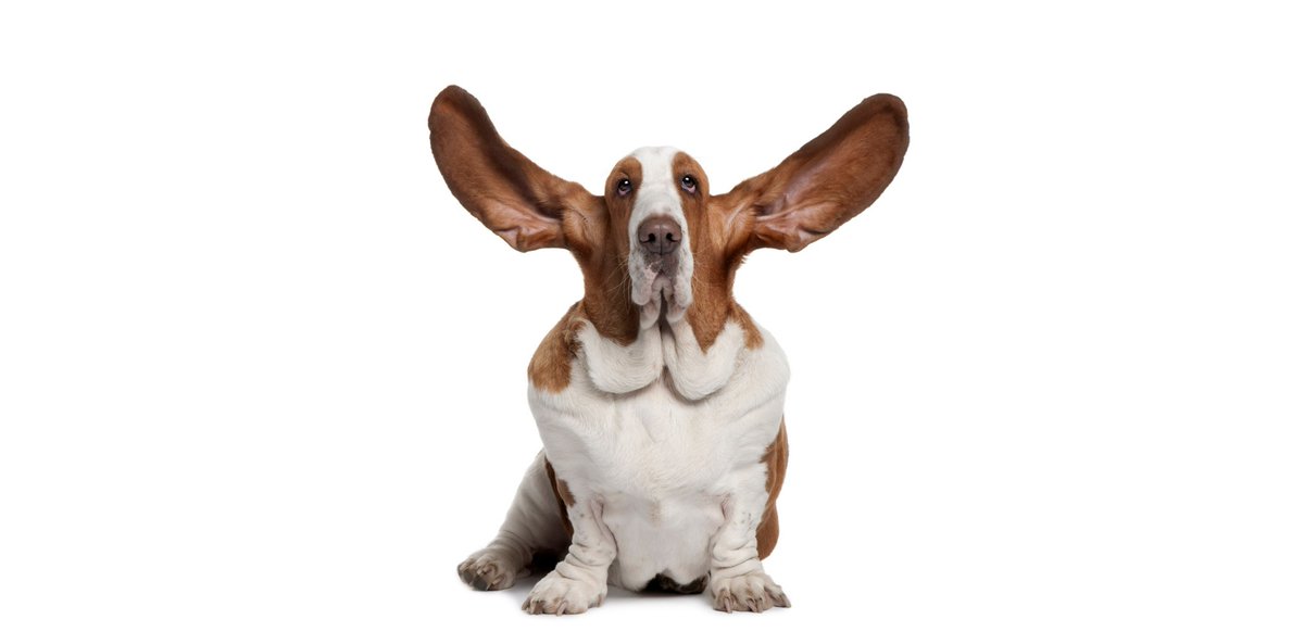 Older male car workers are the most likely cohort to report #tinnitus, data from the Australian Workplace Exposure Survey has shown: zcu.io/xyco  #menshealthweek